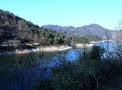 爱游戏体育-焈劯H?[g_??芎?2$鏖2蠣jbC石雿6u沊?!鐽的简单介绍